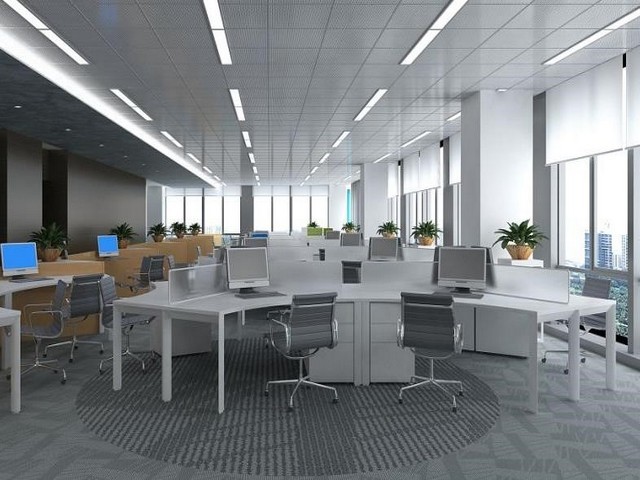 山西人体示教大体标本批发